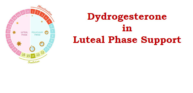 Dydrogesterone-Luteal_Phase_Support