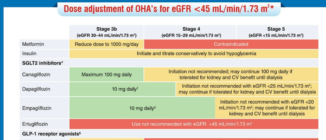 Dosage-Adjustment-Chart-of-Oha