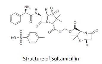 structure of sultamicillin