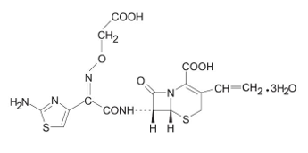 C tax O dry forte syrup Structural formula for cefixime 7.0 image