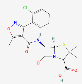 C tax O XL 200 Cloxacillin 7.0 image