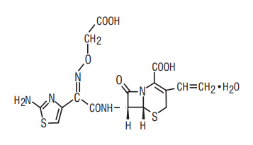 C tax OF Structural formula for cefixime 7.0 image